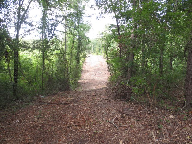 308BE002-7465-40FD-BFAE-85B47F34F2FC