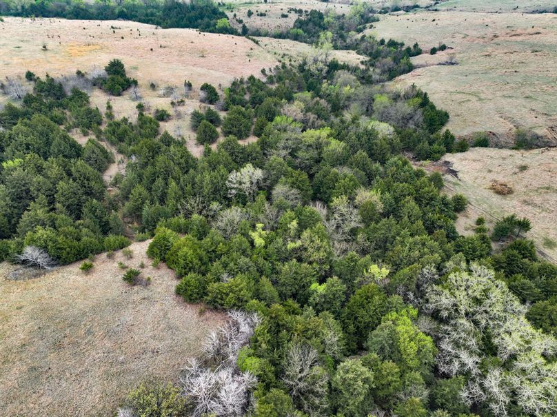 Washington, Co, 83.3_011