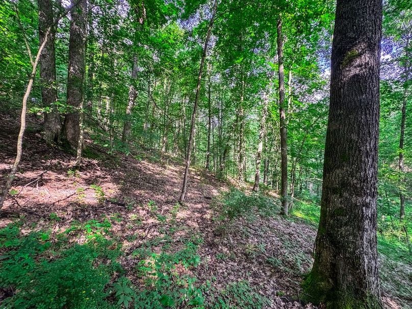 Lewis, WV 105 AC Miller-46