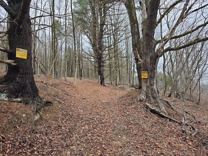 photo_a5b6480b-d081-4602-bdbd-c7dacd7f0691