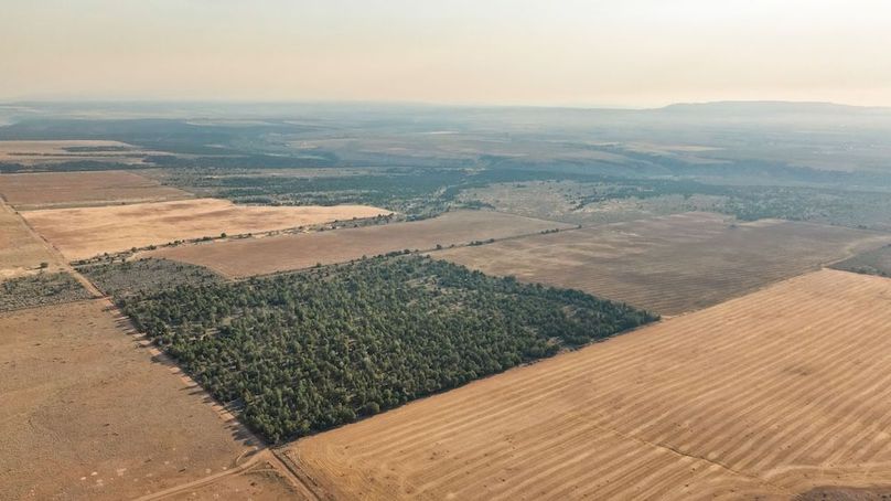 DJI_0531_1