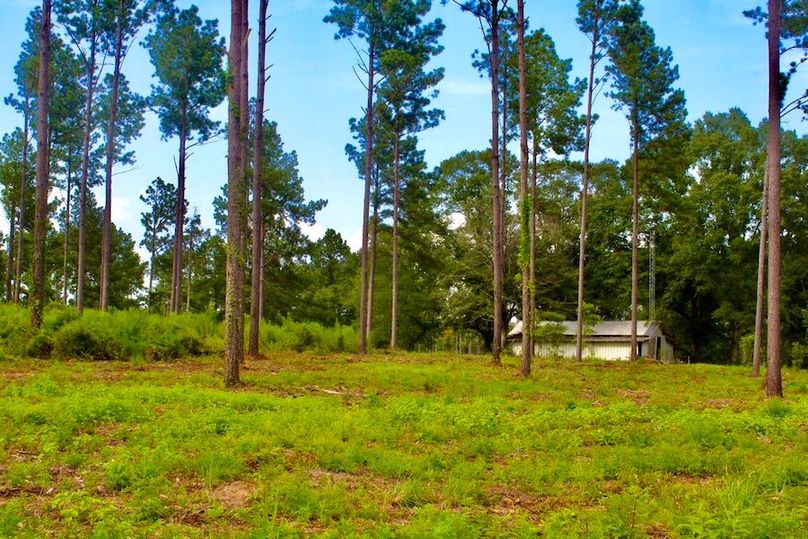 6557F24A-DB2B-4DDC-B1C1-3AEE223577C3_1_105_c