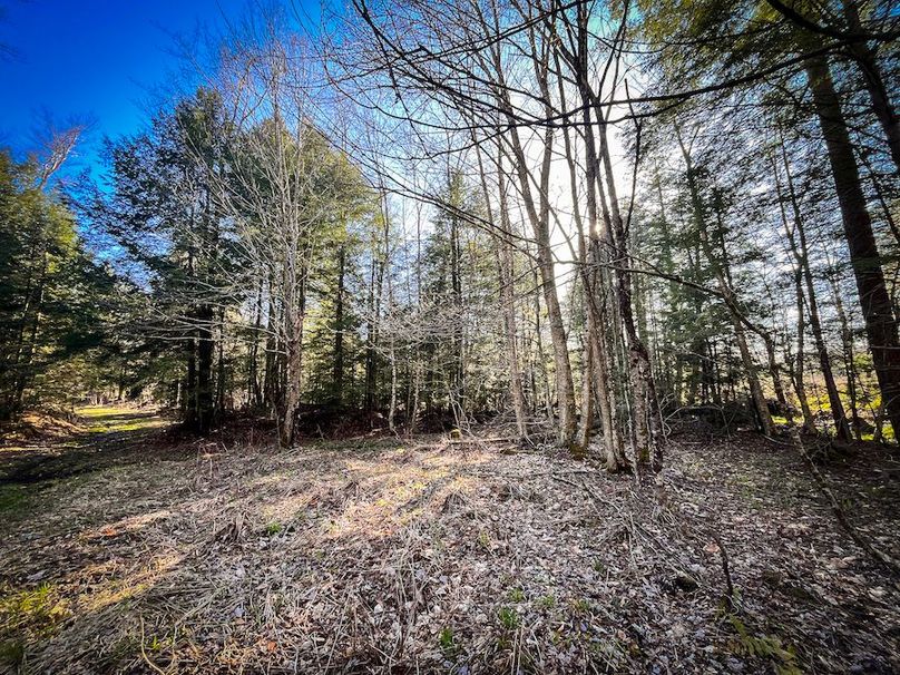 Oswego_17.88_Feld_Photos_77