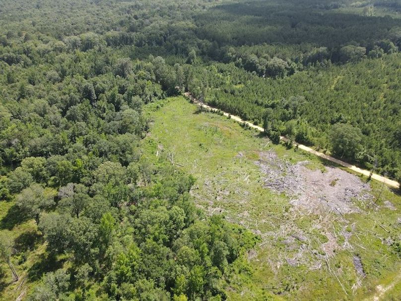 DJI_0379