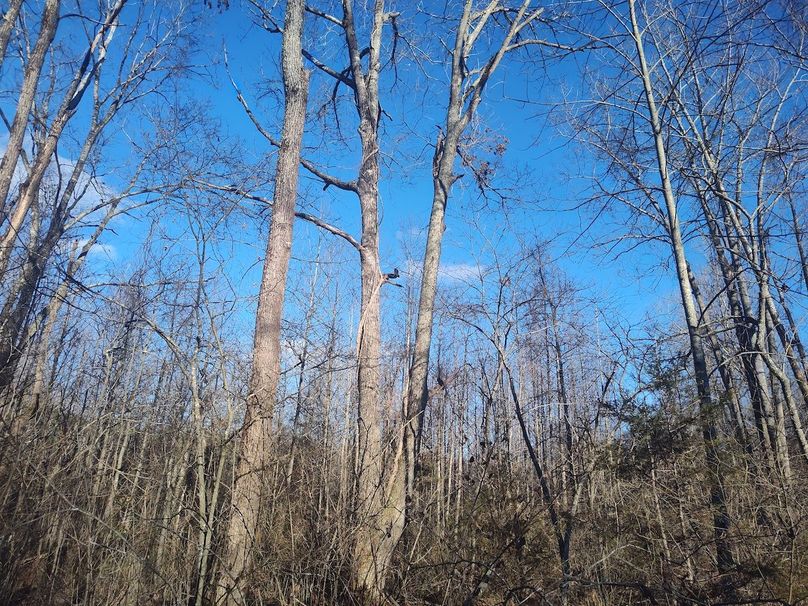 IMG_20240302_164106277