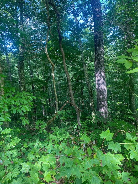 Rowan Ky 5 wilburn -015