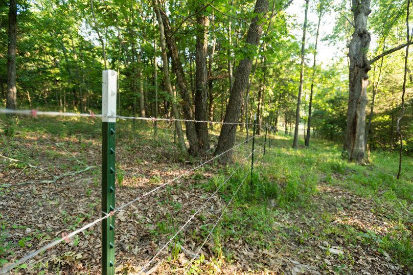 Webster MO 106 Featured_Pro Photo-26