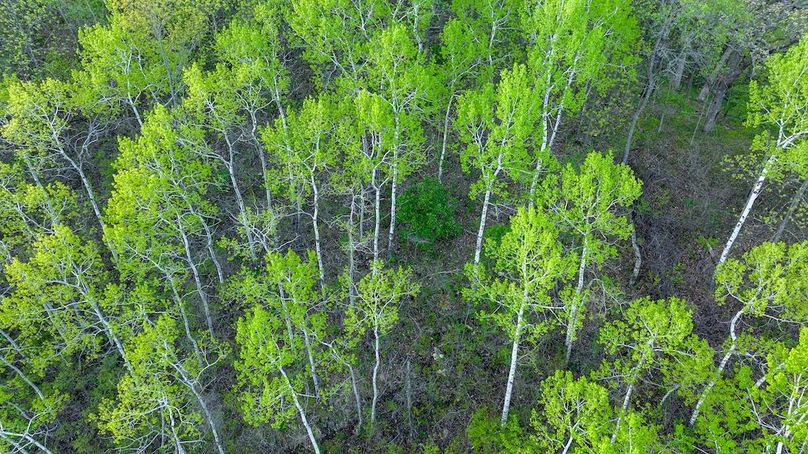 DJI_0343