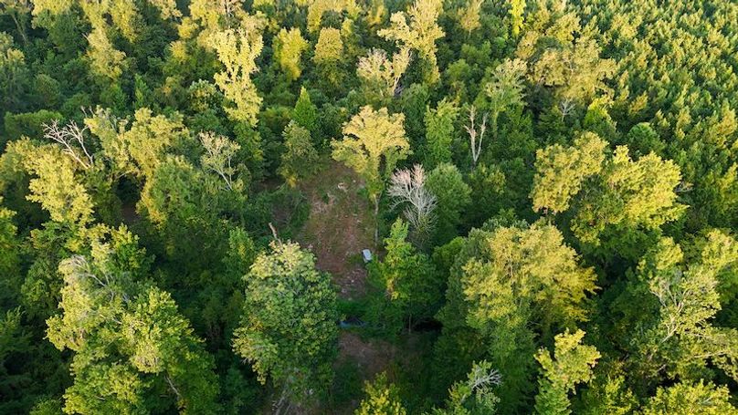 Ashley Co-40-Givens-53