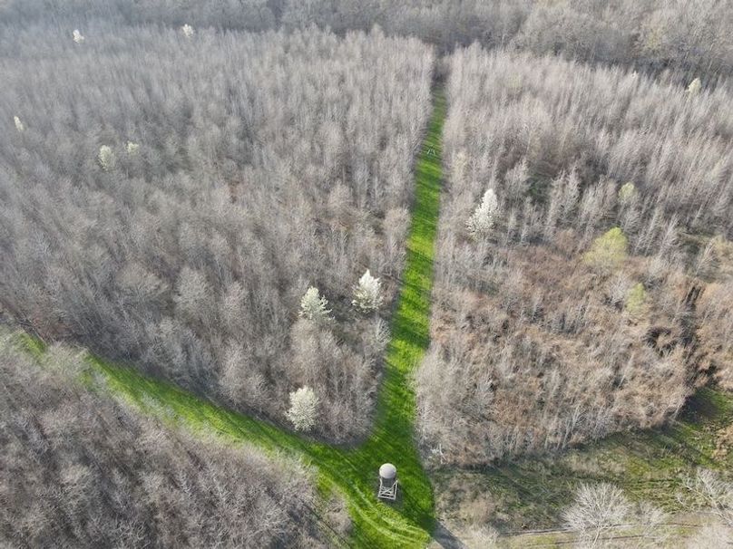 dji_fly_20240303_162342_106_1709504646364_photo copy