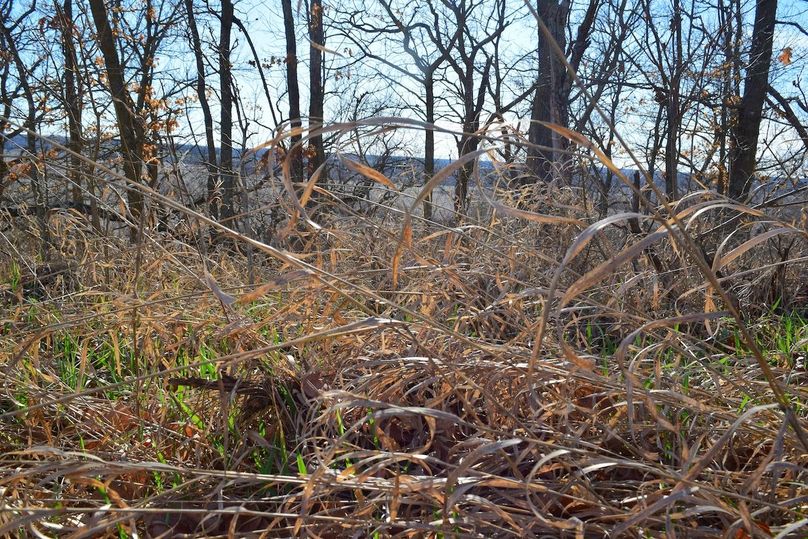 DSC_0333_inPixio (2)