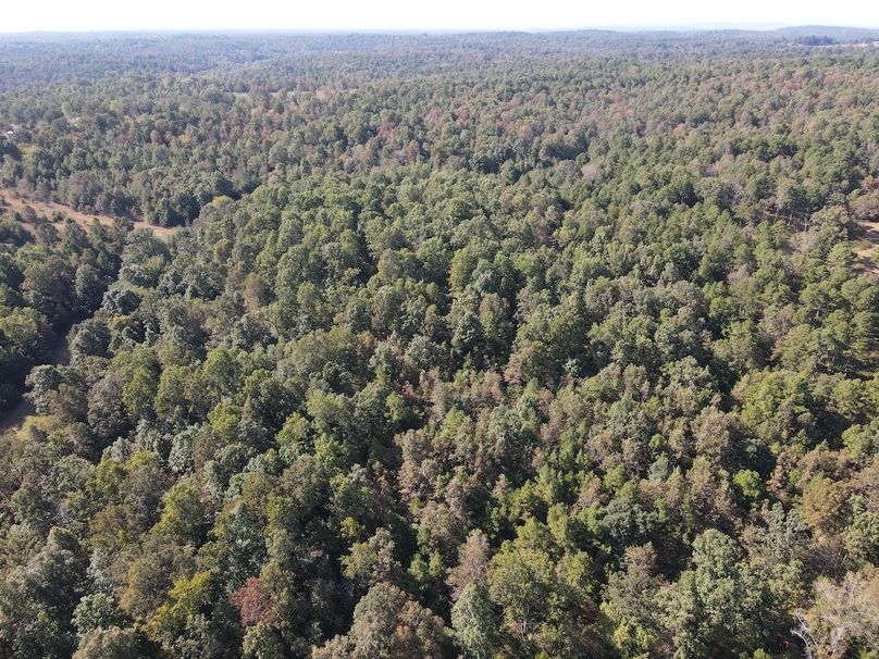 dji_fly_20250902_095352_721_1756824860048_photo