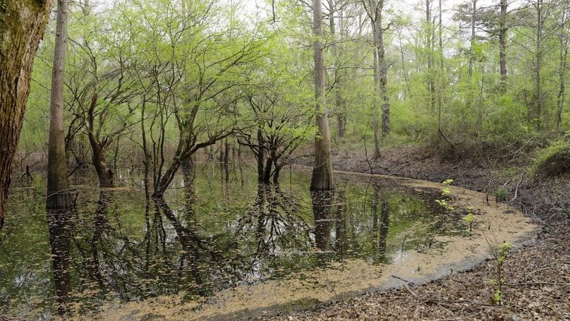 Marion TX 143 and 117 Featured_WEB.00_04_44_17.Still011