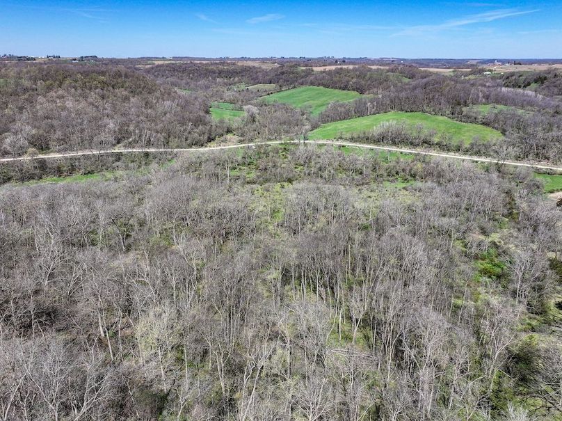 Strawberry Point- WTP-02