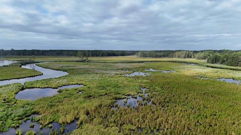 IMG24_60AC_dji_fly_20250811_084714_0021_1754945045798_photo