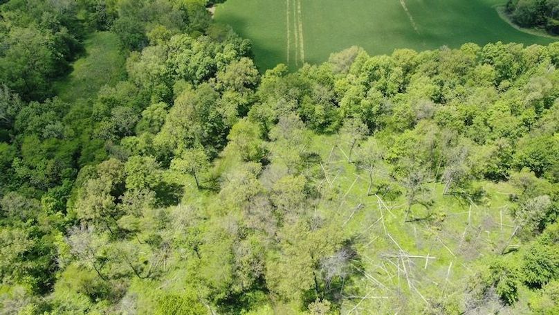 DJI_0972