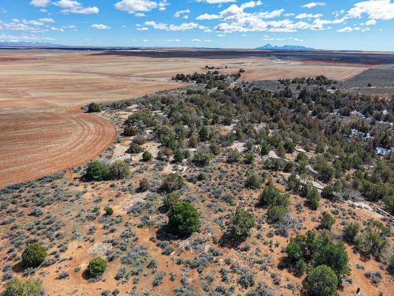 DJI_20260307125642_0088_D