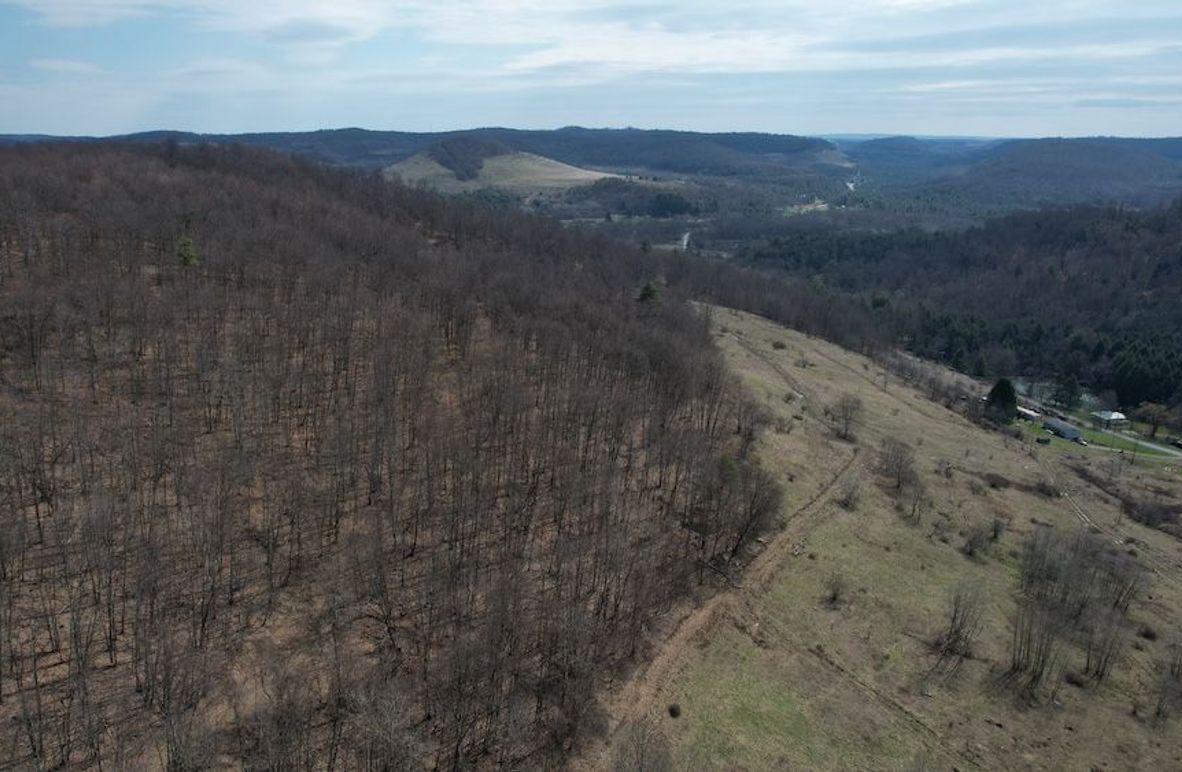 dji_fly_20260330_112458_216_1774884966478_photo