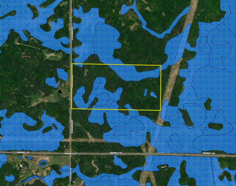 7796 Savanna Rd. N M_L 80 St. Louis Co wetland layer