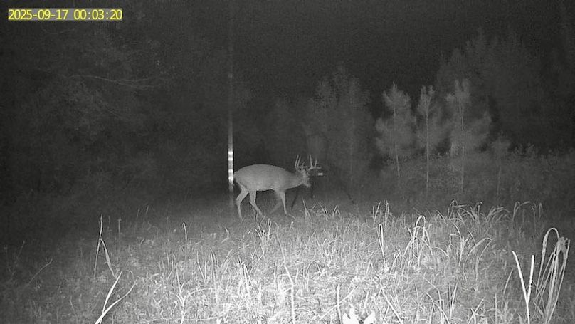 MPOEBLPJPBRWY6WF6YXA_20250917_000321