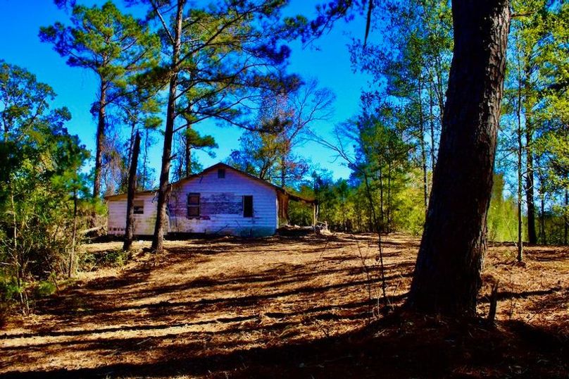 A5949DA1-00CA-4702-B882-635E806159A7_1_105_c