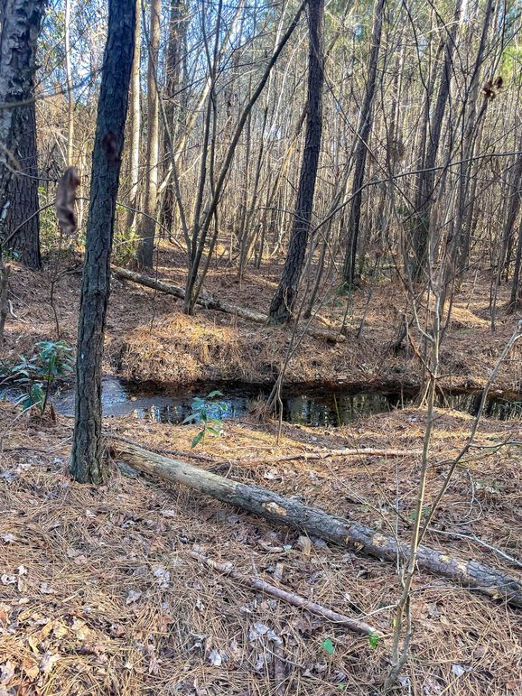 Pender NC 382 - Edits-61