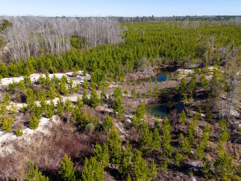 Pender NC 382 - Edits-22