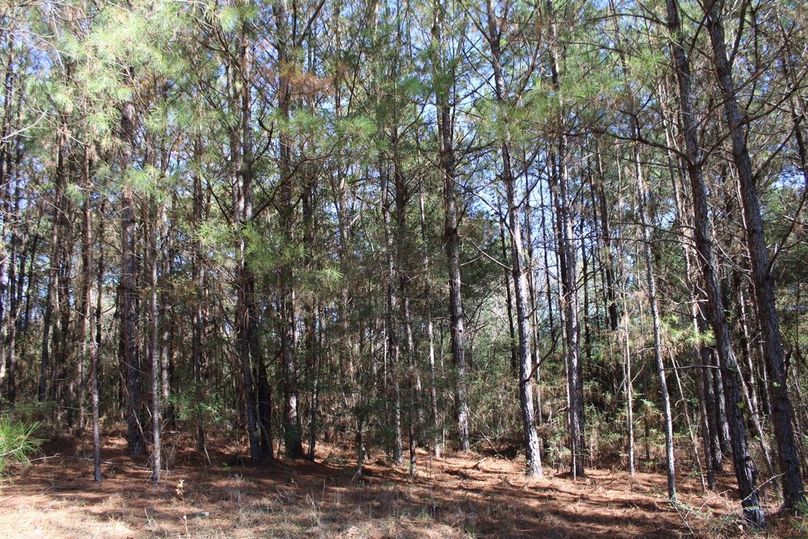 F3D97986-80D3-4546-91D2-B6E49B470D29_1_105_c