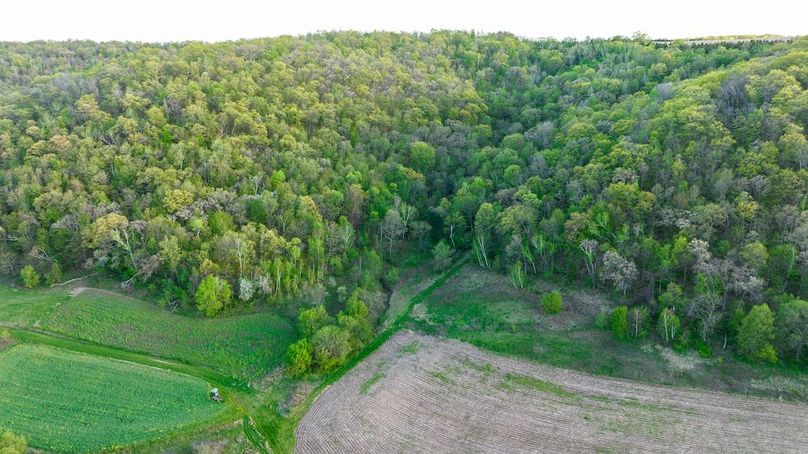 DJI_0342