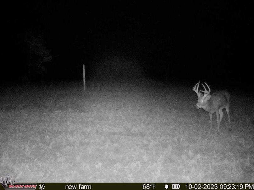 blackgate-media_220762776636773