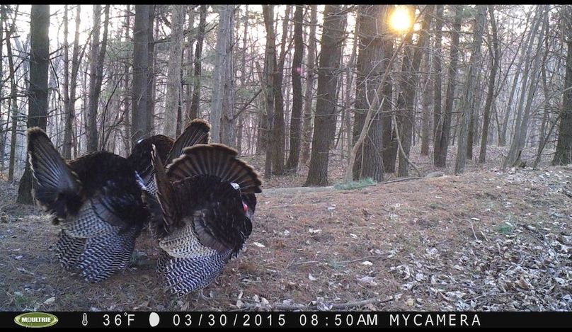 Screenshot_20240823_162306_Gallery