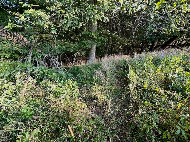 Richland 199Ground - 42