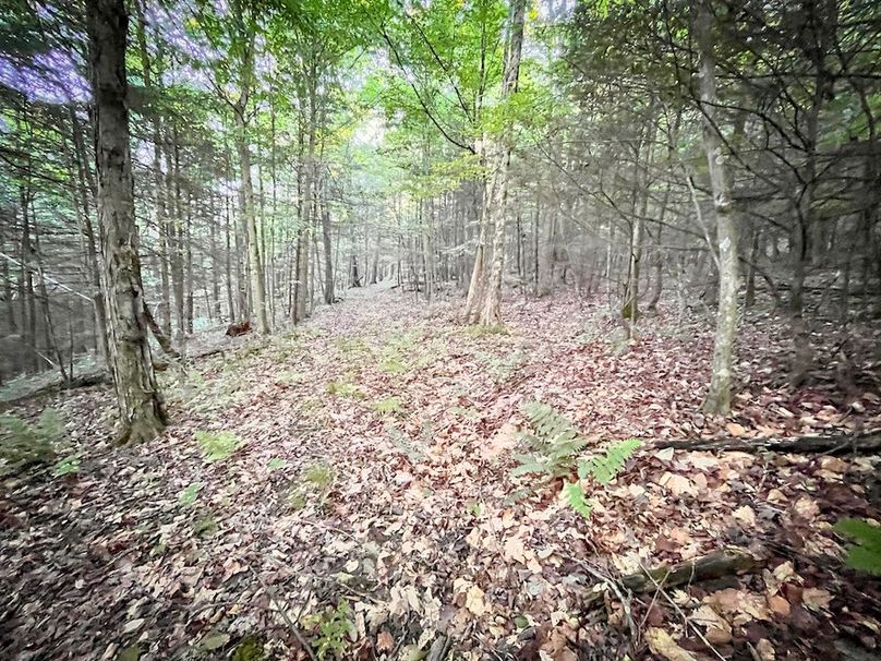 Tioga_82.5_Williams_Photos_38