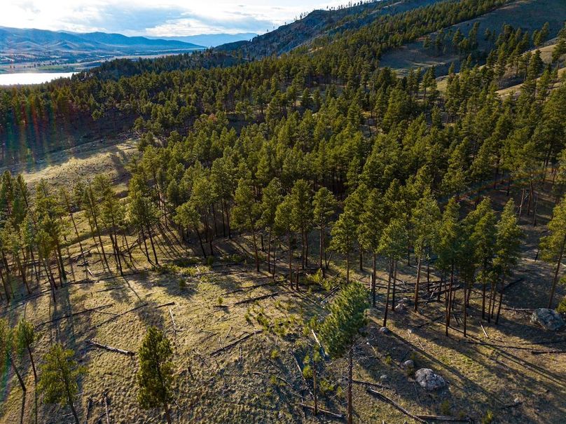 20250430-DJI_0022