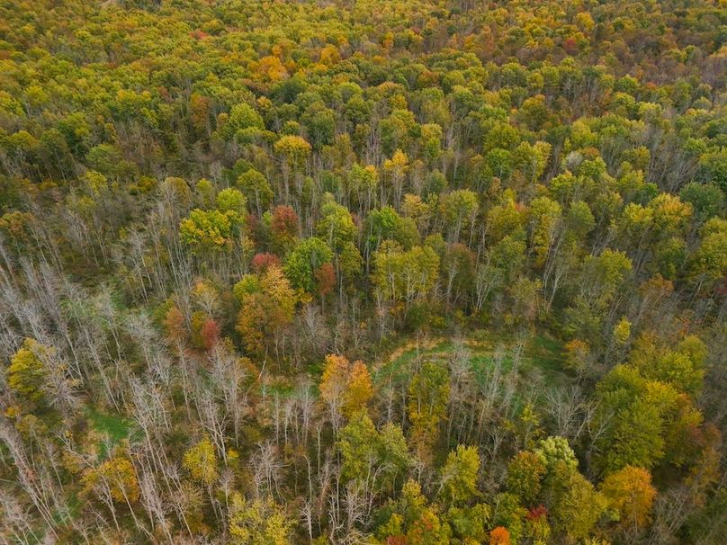 Wayne_29.09_BD_LandNorth_Parcel_14