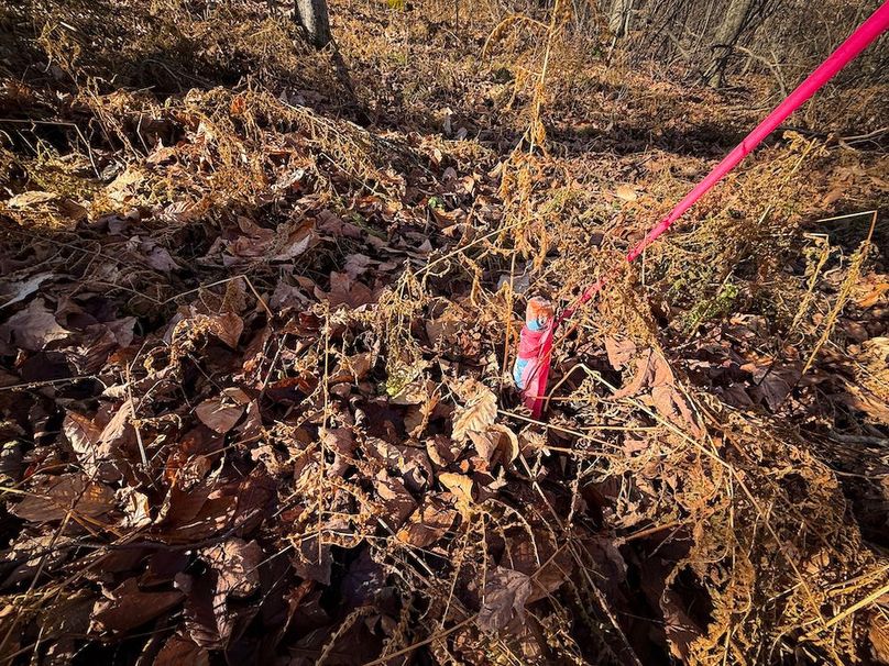 Chemung_31.75_Seymour_North_Photos_24