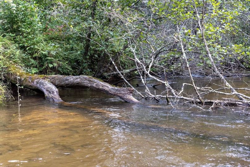 Mackinac 320 Copenhaver-68