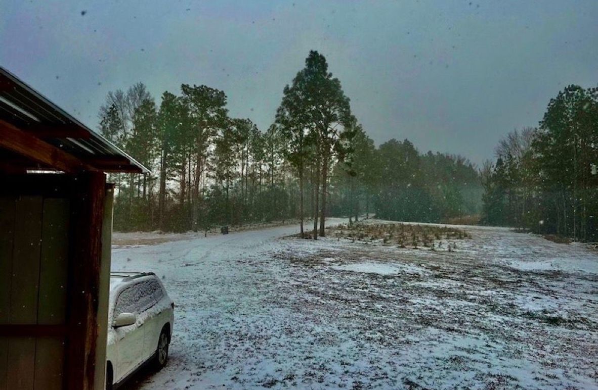 2AA89596-14D2-469E-894E-CE85045F7258_1_105_c-2