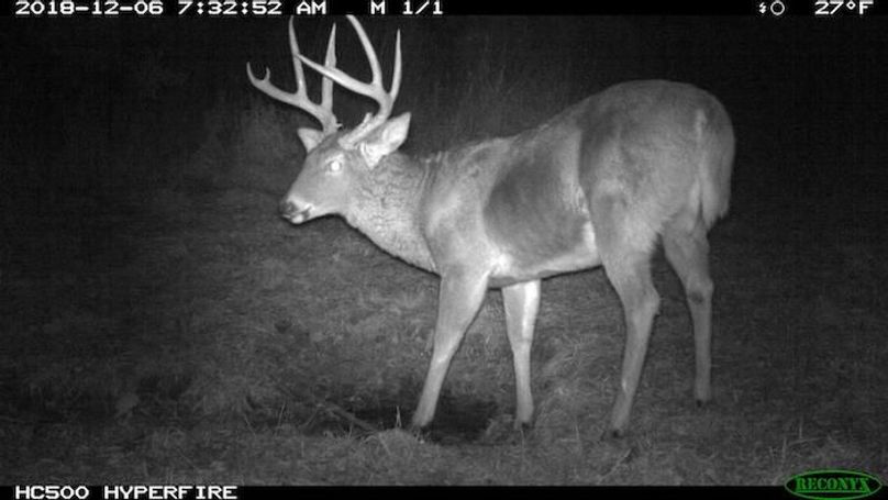 2018-12-06 07-32-52 M 1_1