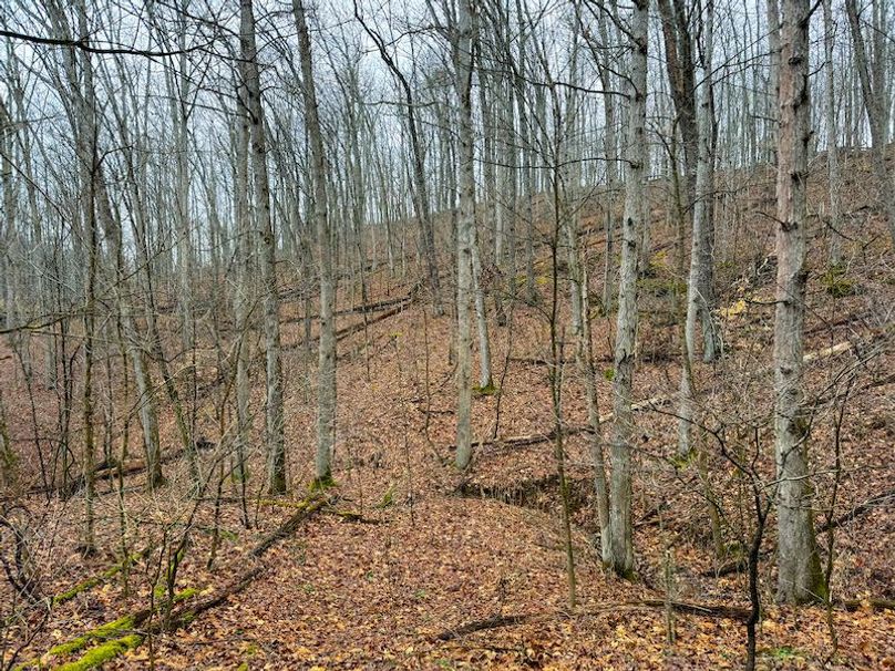 Ritchie, WV 64 AC Hall New Pics-14