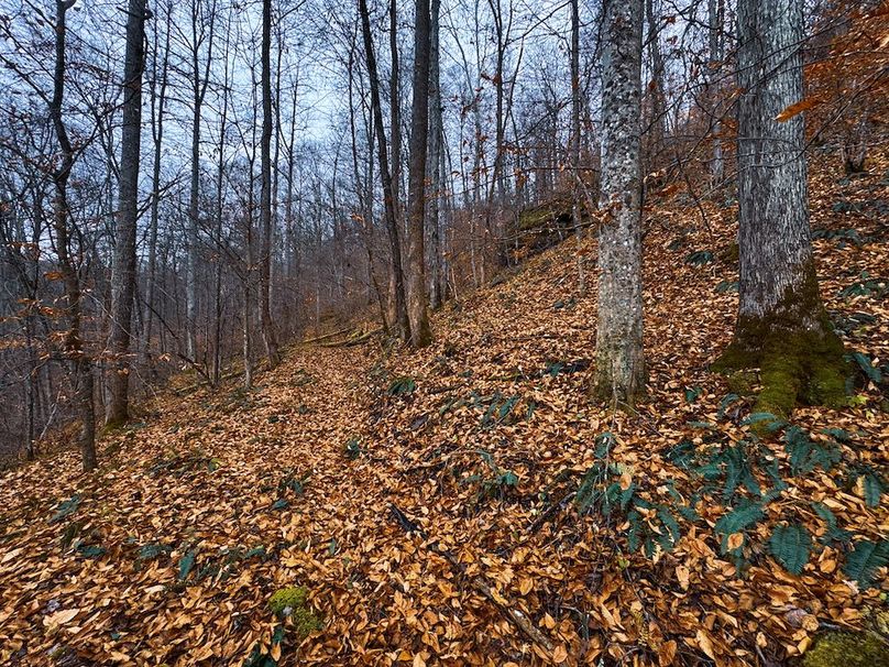 Ritchie, WV 100 AC Harper-27