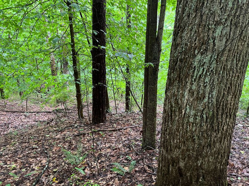 Wirt, WV 150.75 AC Tinnell-24