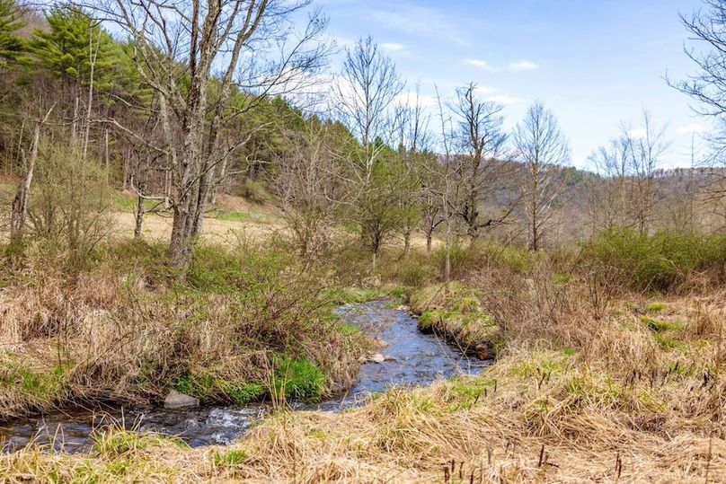 48-web-or-mls-IMG-48