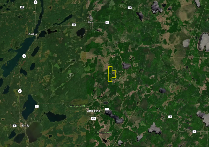 Screenshot 2023-09-17 at 8.03.20 AM