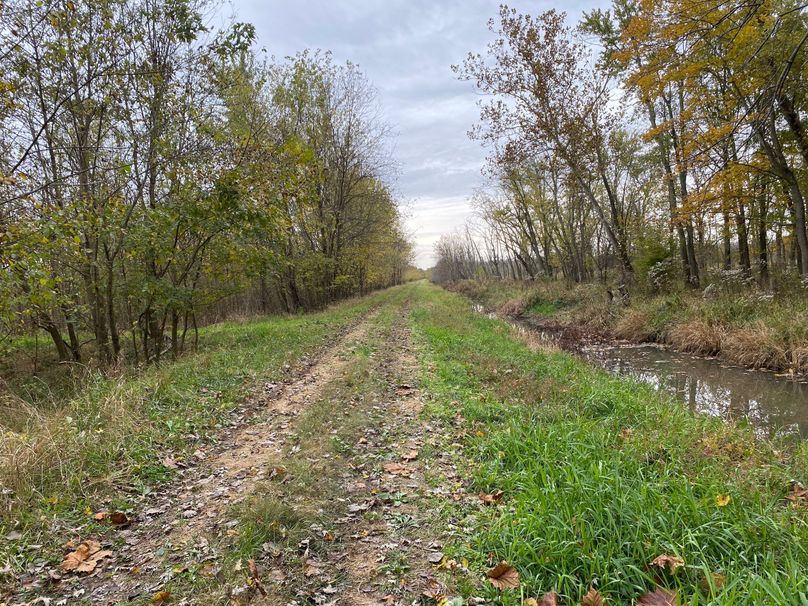 pics from late 2021 and early 2022. New plots being planted in Aug 2023 for new pics (10)