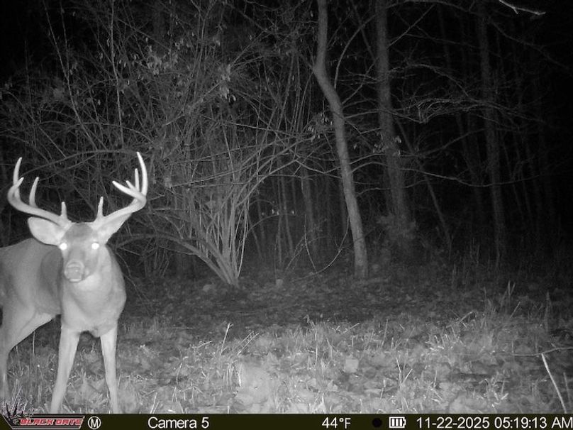 9B1BF50C-D22A-44AE-989A-86D93BD76E4B