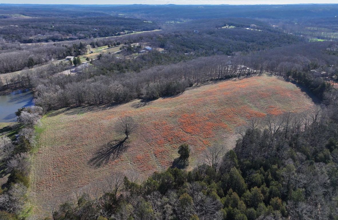 DJI_20260317093349_0974_D