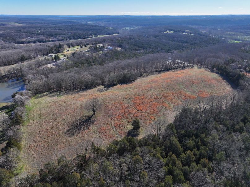 DJI_20260317093349_0974_D