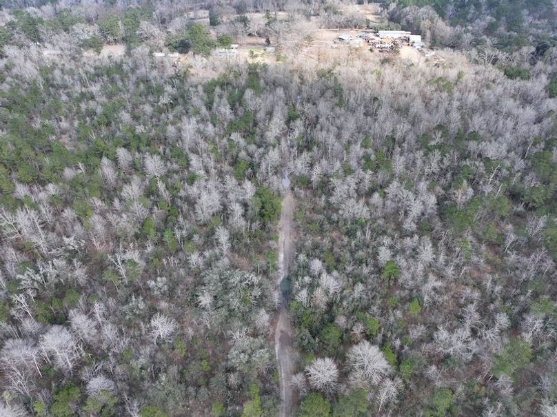 dji_fly_20260212_140224_0049_1771284245588_photo