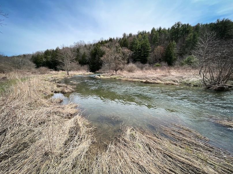 Tioga__NY_109.7_Burris_Photos_121